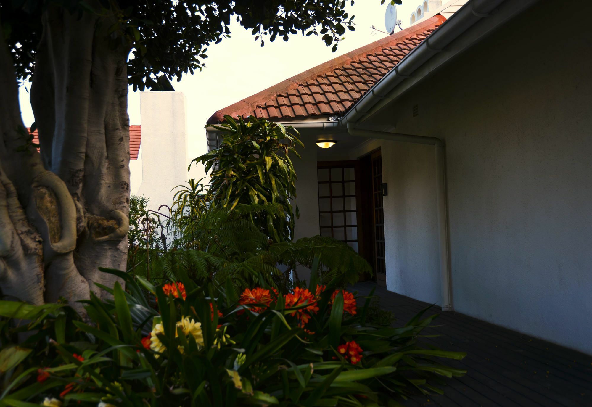 Dolliwarie Guesthouse ปาโรว์ ภายนอก รูปภาพ